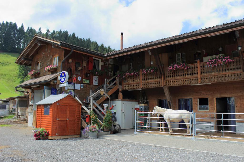 Haflingerhof Fruhboden Villa Egg Luaran gambar