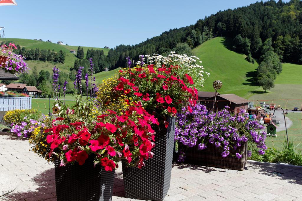 Haflingerhof Fruhboden Villa Egg Luaran gambar